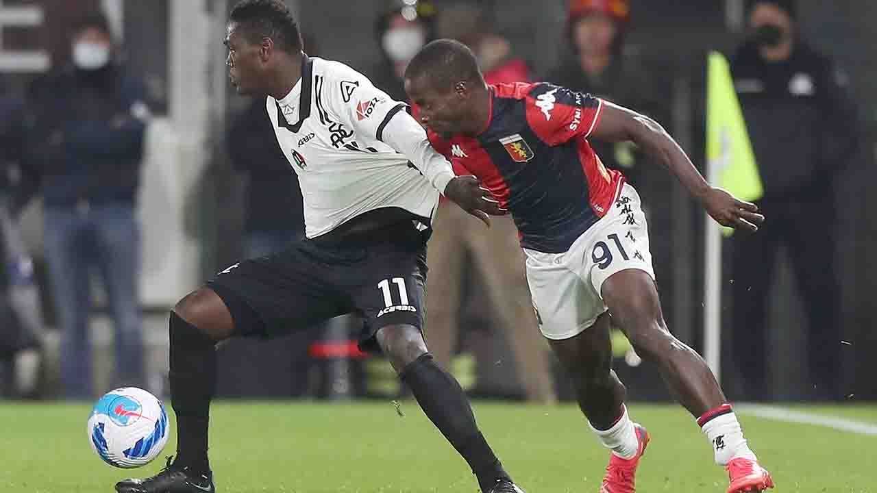 Spezia Genoa