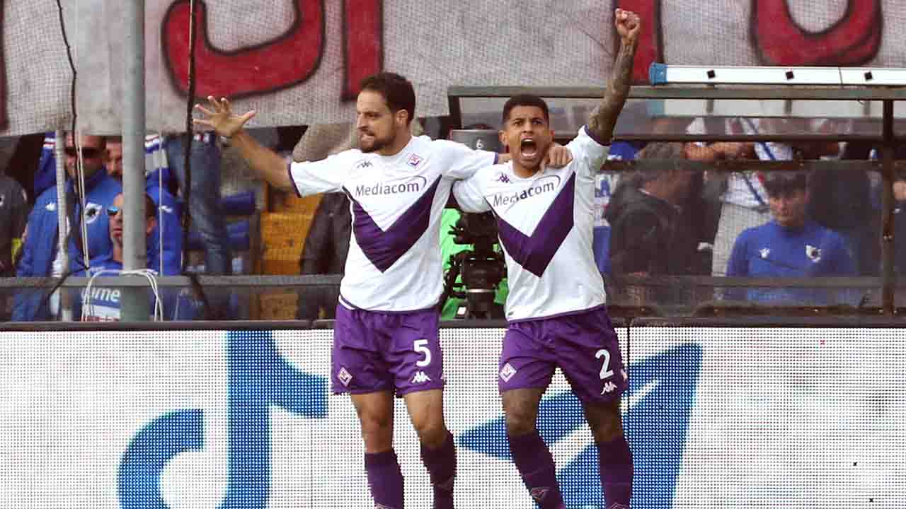 Sampdoria  Fiorentina