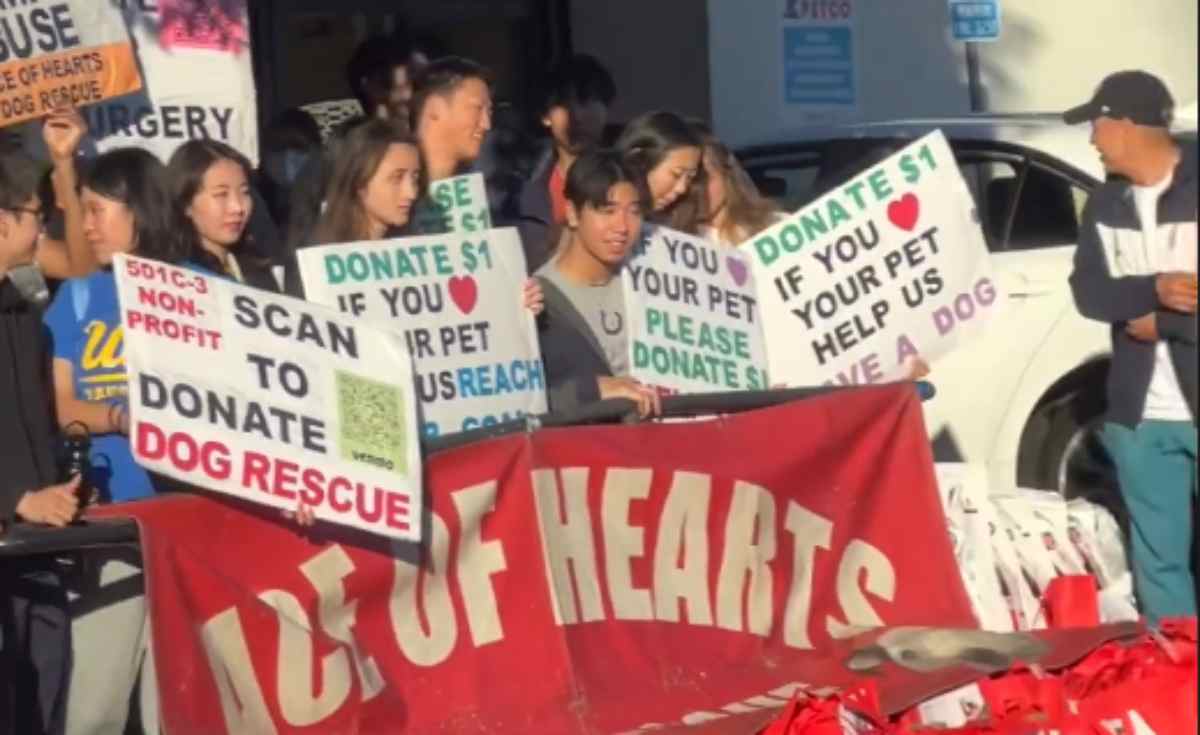 Corteo contro la vivisezione