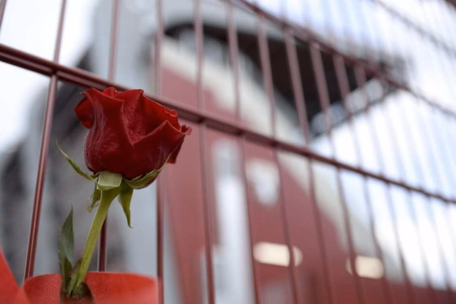 Fiore in segno di lutto