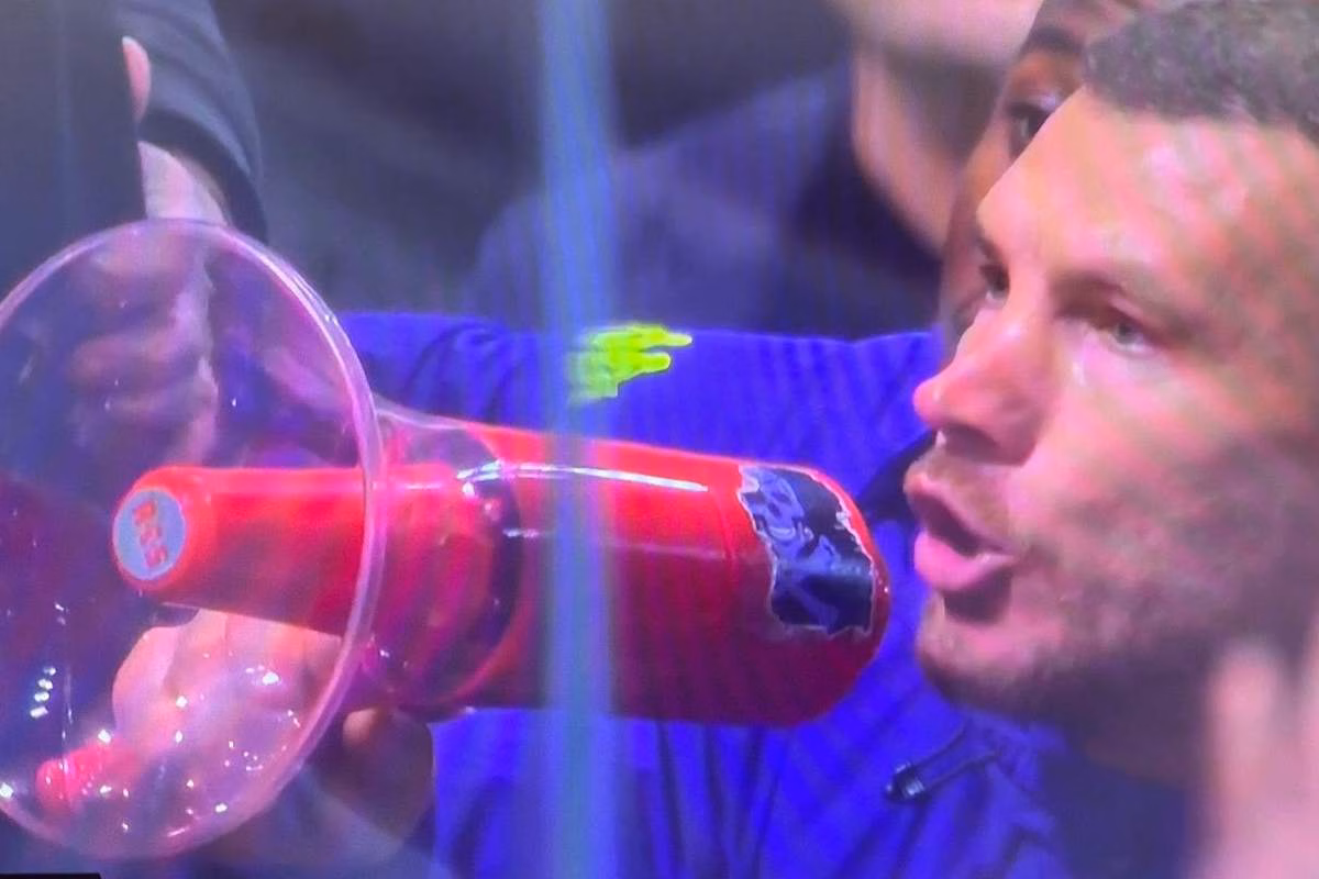 Edin Dzeko, attaccante Fiorentina