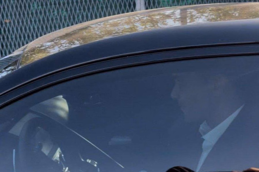 Raffaele Palladino, allenatore Atalanta