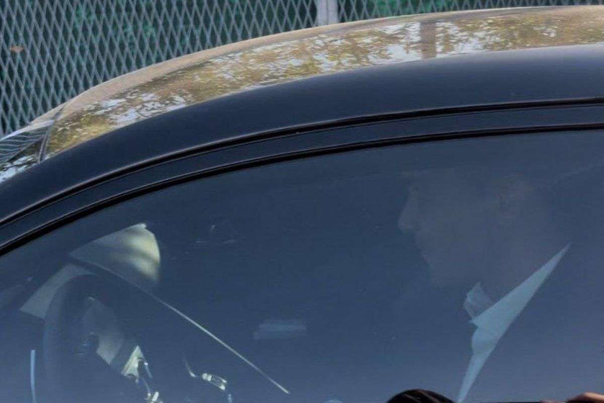 Raffaele Palladino, allenatore Atalanta